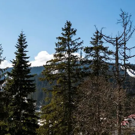 Luxe View I * Pamporovo